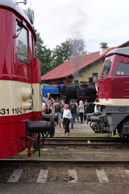 L1003120